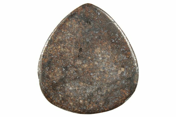 Chondrite Meteorite Cabochon ( g) #238195